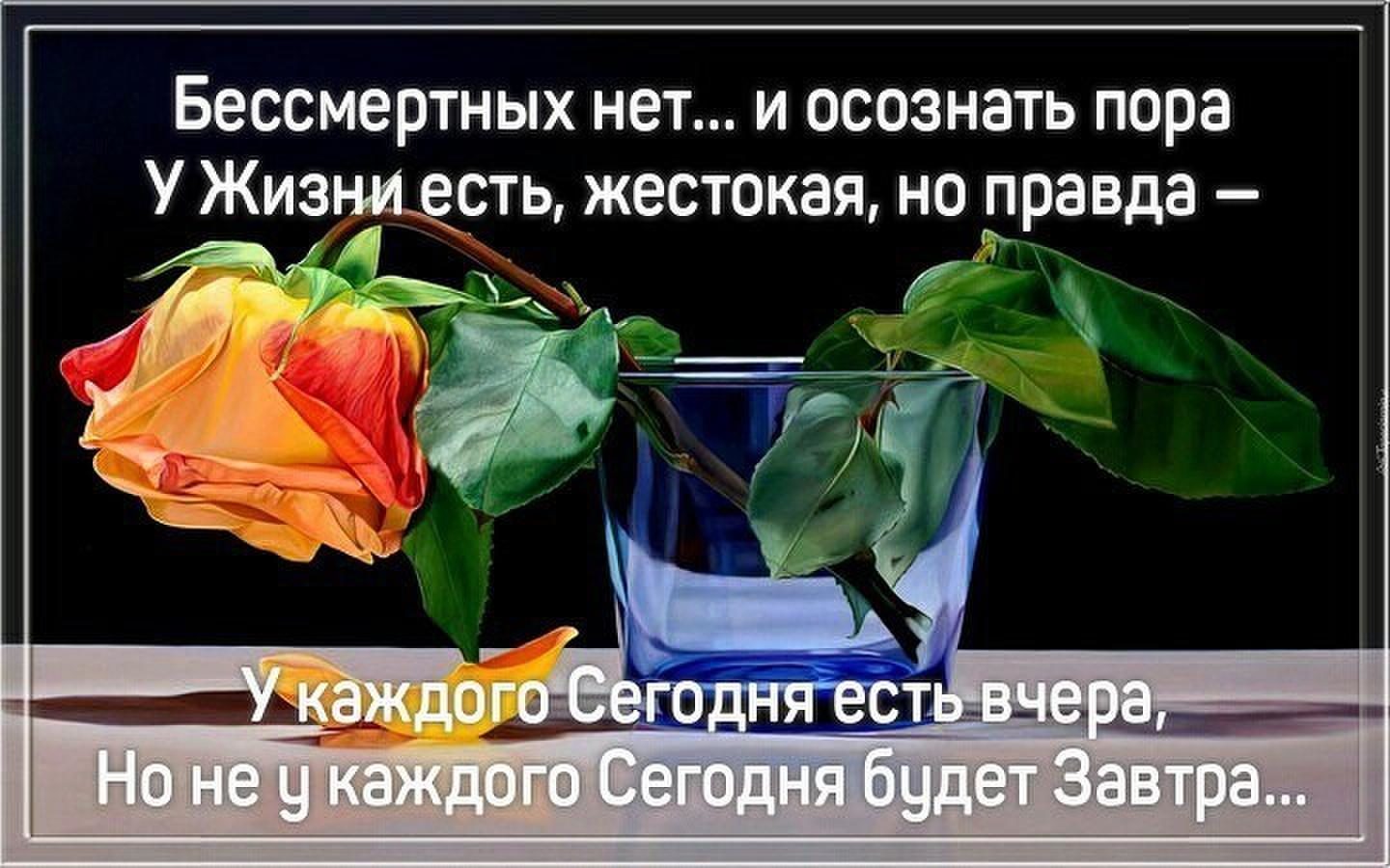 Никто не знает что будет завтра цитаты
